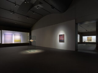 Installation view, Mika Tajima: Appear